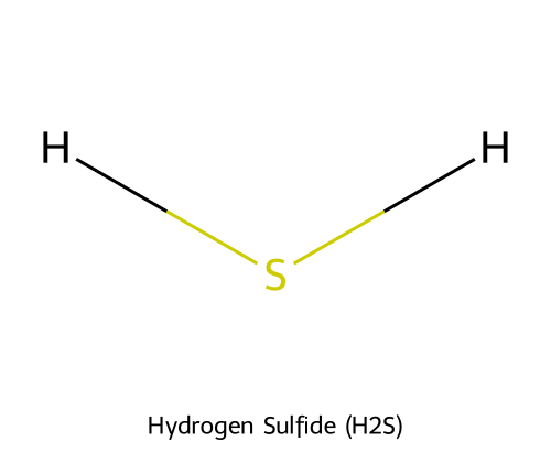 Molecular diagram of hydrogen sulfide showing one sulfur atom bonded to two hydrogen atoms in a bent shape